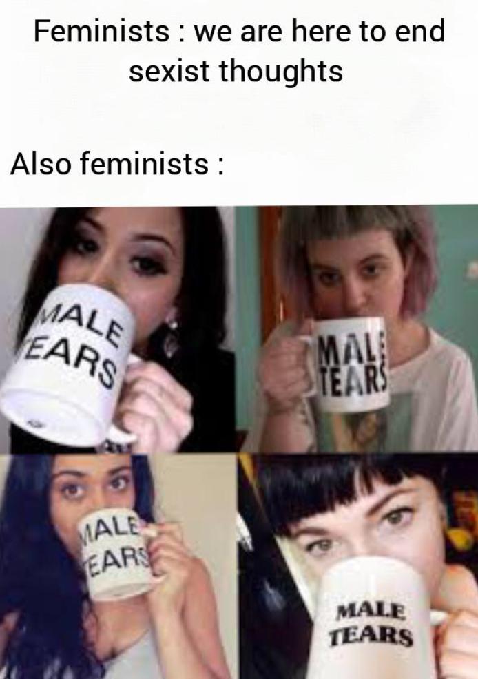 feminist memes