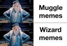 wizard memes